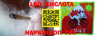 прущие грибы Татарск