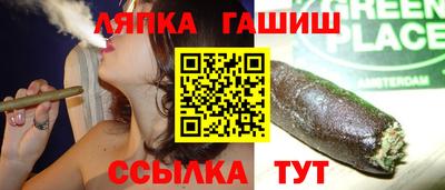 сатива Ставрополь