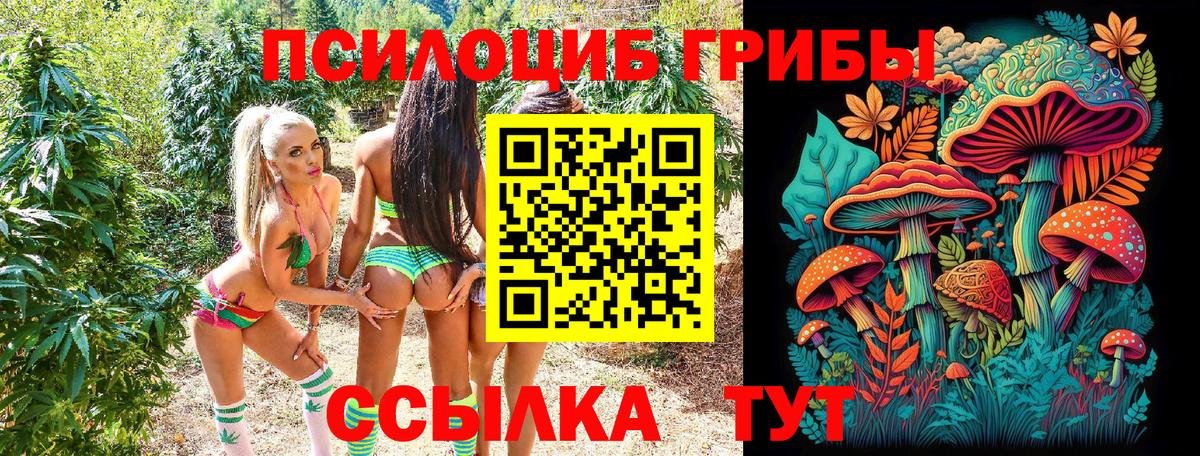 Отрадный  наркошоп  Вход с VPN  Галлюциногенные грибы MAGIC MUSHROOMS 