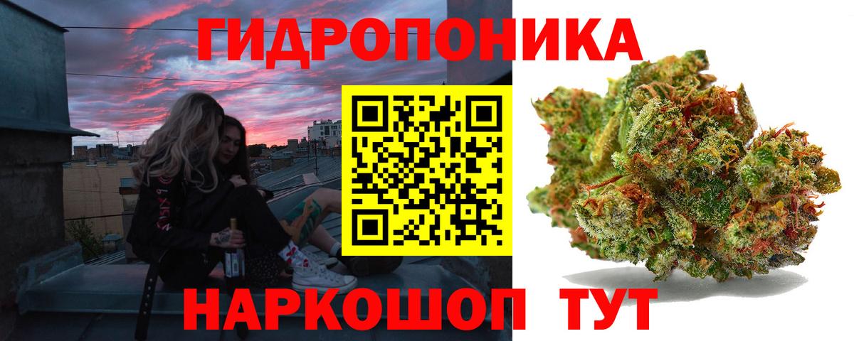 Шишки марихуана тримм  Вход с VPN  Отрадный  Бошки Шишки сатива  Бошки марихуана конопля  Конопля AK-47 
